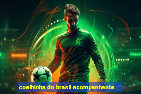 coelhinha do brasil acompanhante